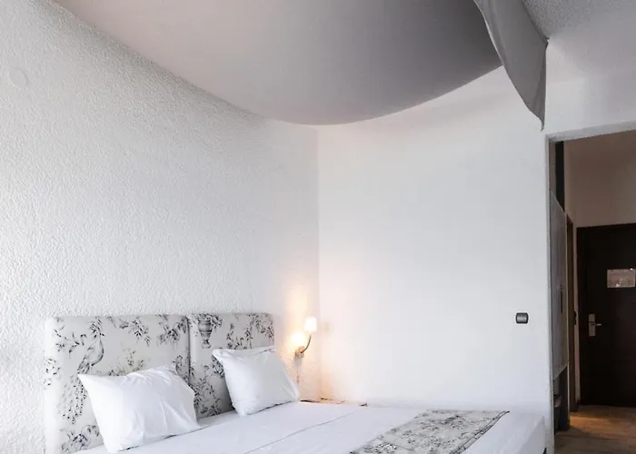 Long & 4* Лонгос